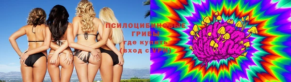 стафф Краснослободск